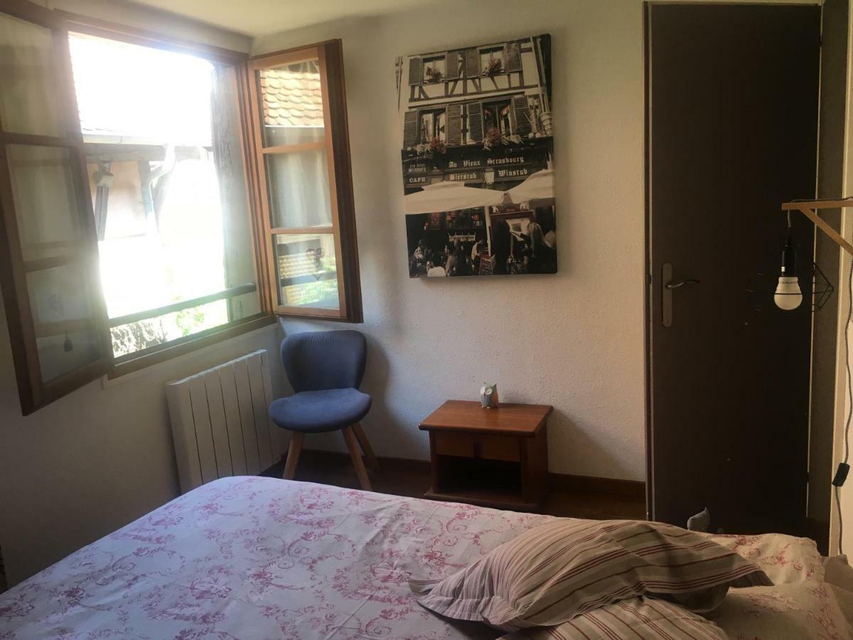 Au Merlenchanteur Schiltigheim Extérieur photo